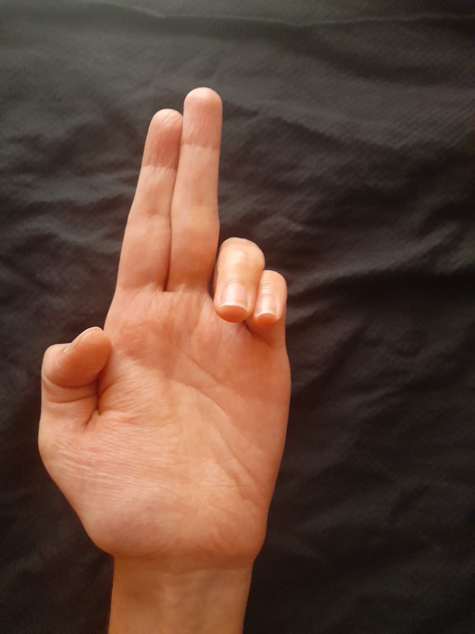 Ardhapathaka